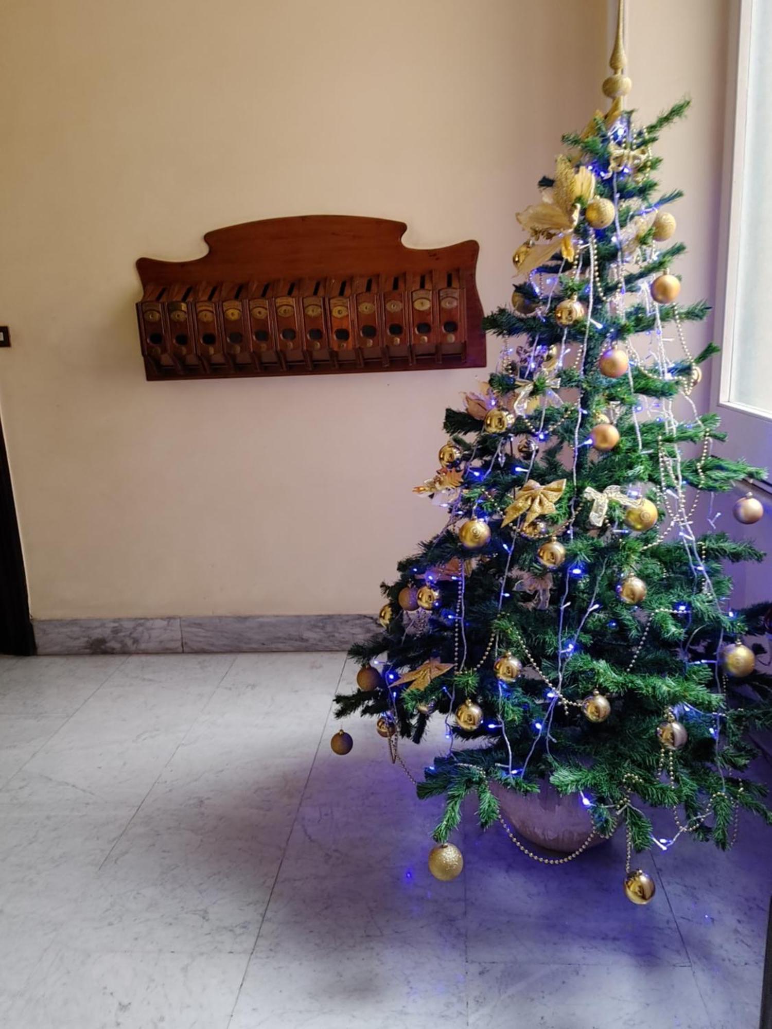 Studio Flat Trastevere Rome Extérieur photo