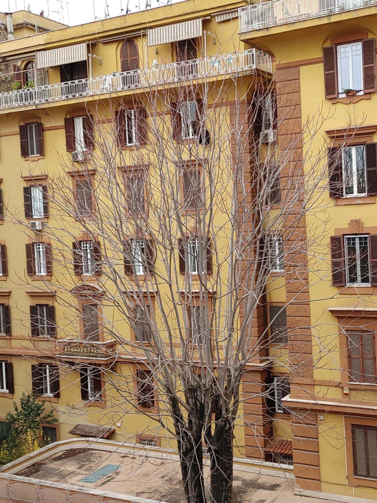 Studio Flat Trastevere Rome Extérieur photo